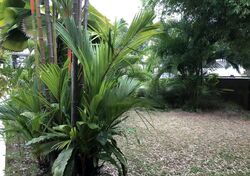 Bukit Sedap Road (D10), Semi-Detached #461215521